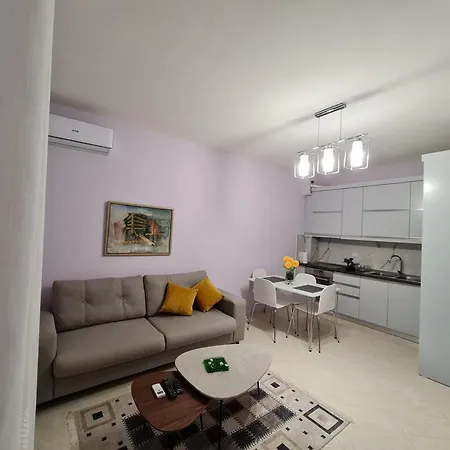 Lovely In Apartment
